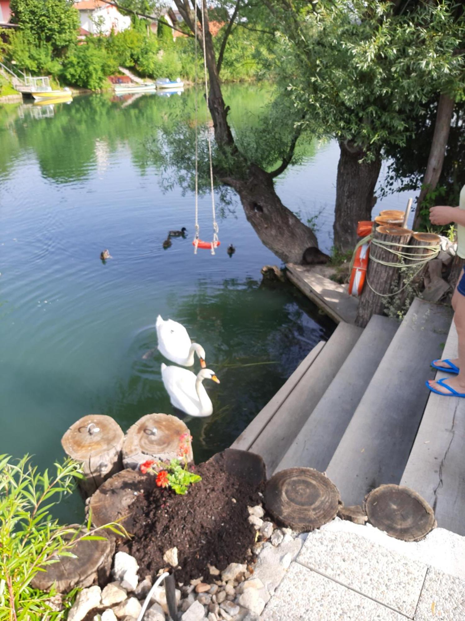 Počitniška hiša River Ljubljanica Ljubljana