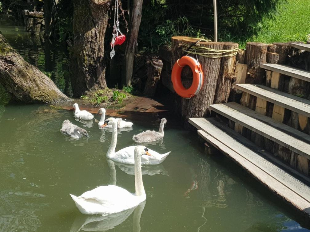 Dom wakacyjny River Ljubljanica Lublana